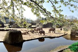 Eingang Kölner Zoo